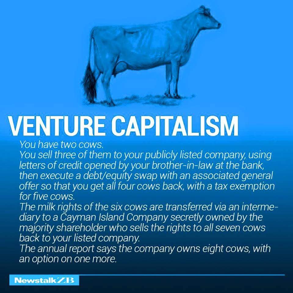 VENTURE CAPITALISM