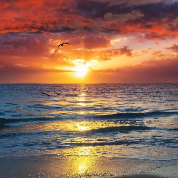 July morning
